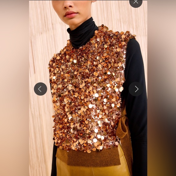 NWT 1299.00 Medium Ulla Johnson Ulla Johnson Cosima Embroidered Cashmere Vest - Picture 5 of 7